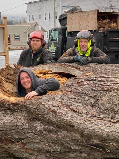guys having fun in tree